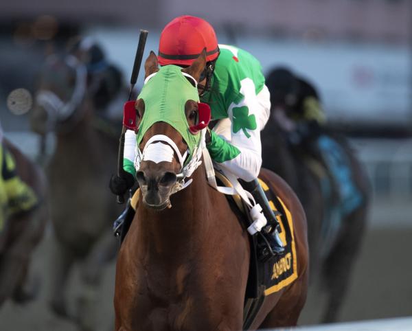 2020 gotham stakes replay